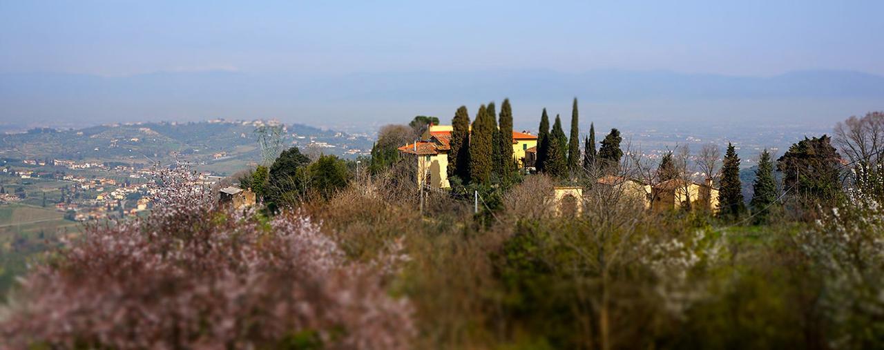 Agriturismo Frigionaia Carmignano Buitenkant foto